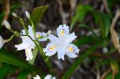 DSC_0200-20130413-512
