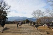 DSC_0029-20100123-512