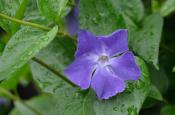 DSC_1797-20110507-512