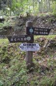 DSC_1822-20110507-512