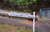 DSC_1823-20110507-512