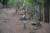 DSC_1829-20110507-512