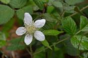 DSC_1901-20110507-512