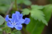 DSC_1906-20110507-512