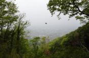 DSC_1908-20110507-512