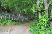 DSC_1929-20110507-512