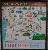 DSC_0049-20101215-512