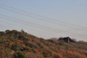 DSC_0100-20101215-512