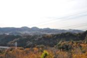 DSC_0126-20101215-512