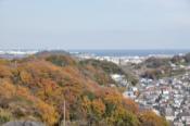 DSC_0169-20101215-512