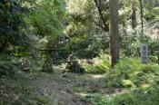DSC_0370-20130505-512
