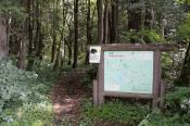 DSC_0856-20130817-512