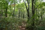 DSC_0862-20130817-512