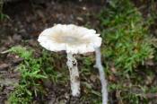 DSC_0864-20130817-512