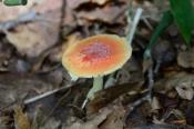 DSC_0865-20130817-512