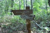 DSC_0868-20130817-512