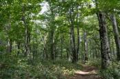 DSC_0886-20130817-512