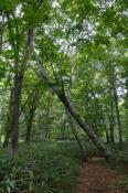 DSC_0888-20130817-512