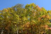 DSC_2082-20141019-512