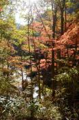 DSC_2084-20141019-512