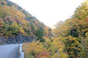 DSC_2086-20141019-512