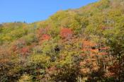 DSC_2089-20141019-512