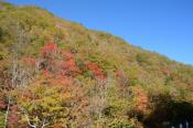 DSC_2090-20141019-512