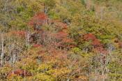 DSC_2091-20141019-512