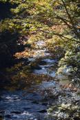 DSC_2092-20141019-512