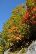 DSC_2100-20141019-512