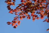 DSC_2108-20141019-512