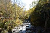 DSC_2154-20141019-512