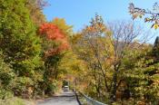 DSC_2184-20141019-512