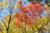 DSC_2208-20141019-512