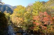 DSC_2214-20141019-512