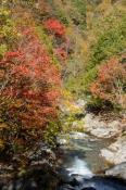 DSC_2218-20141019-512