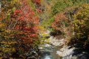 DSC_2219-20141019-512