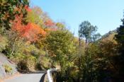 DSC_2234-20141019-512