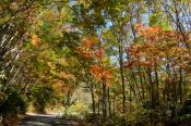DSC_2238-20141019-512