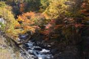 DSC_2249-20141019-512
