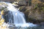 DSC_2257-20141019-512
