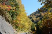 DSC_2269-20141019-512