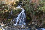 DSC_2320-20141019-512