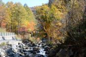 DSC_2325-20141019-512
