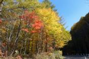 DSC_2330-20141019-512
