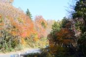 DSC_2342-20141019-512