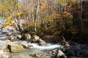 DSC_2376-20141019-512