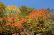 DSC_2383-20141019-512