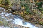 DSC_2390-20141019-512
