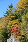DSC_2394-20141019-512